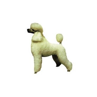 Kleine Aufkleber 4er Packung