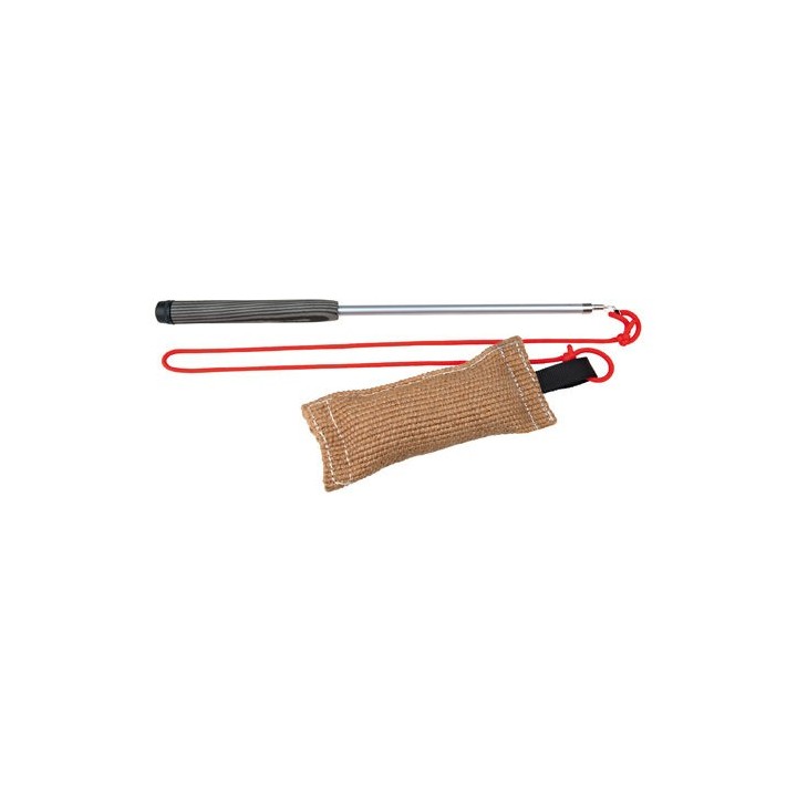 Trixie Dog Activity Reizangel