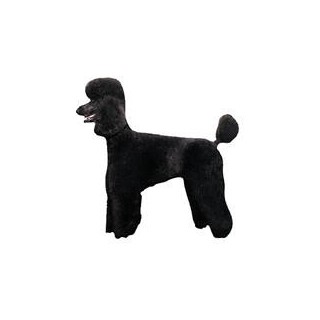 Kleine Aufkleber 4er Packung