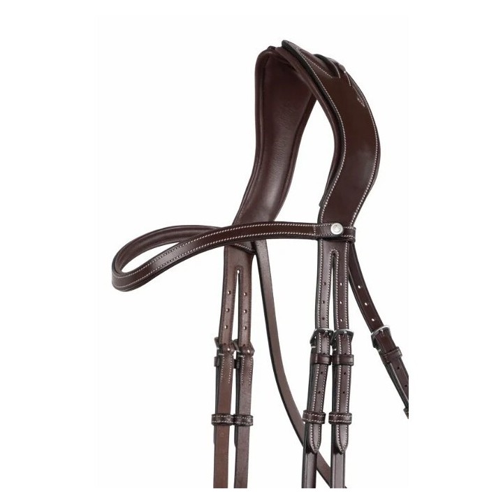 Stirnband für kontrastreiches Pferd Montar Classic