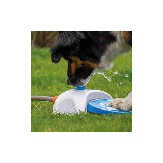 Gartenbrunnen für Hunde