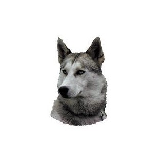 Kleine Aufkleber 4er Packung