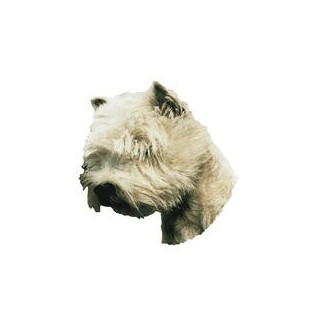 Kleine Aufkleber 4er Packung