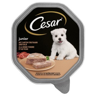 Cesar Junior Schale 14 x 150 g - mit Truthahn und Kalb