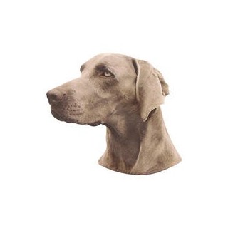 Kleine Aufkleber 4er Packung