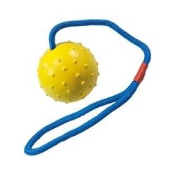 Trixie - Schleuderball