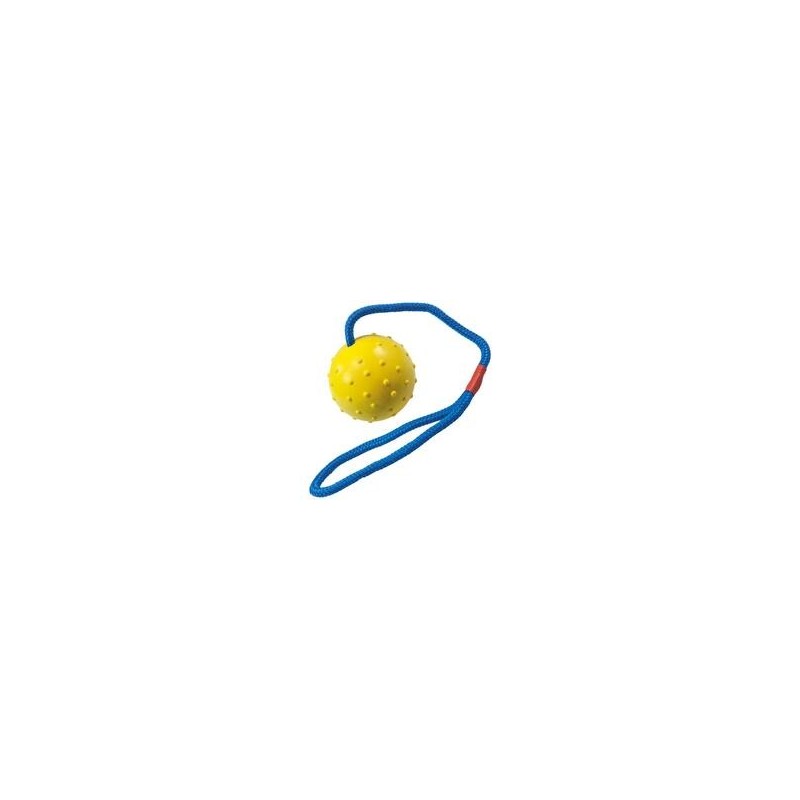 Trixie - Schleuderball
