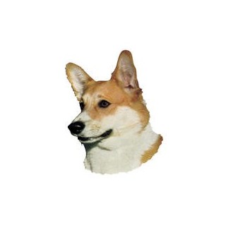 Kleine Aufkleber 4er Packung