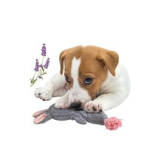 Schecker - Hundespielzeug Bunny mit Seil