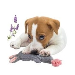Schecker - Hundespielzeug Bunny mit Seil