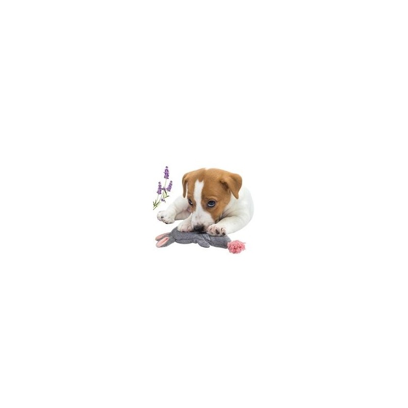 Schecker - Hundespielzeug Bunny mit Seil