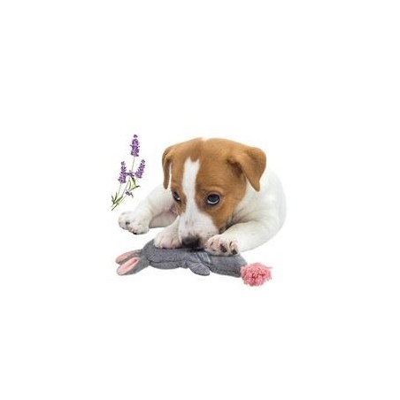 Schecker - Hundespielzeug Bunny mit Seil