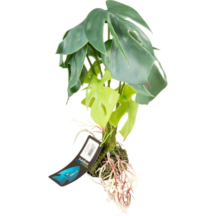 Terra Della Alocasia grün - S