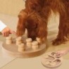 Karlie - Doggy-Brain-Train [32cm]