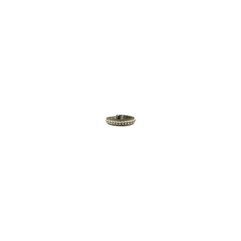 Trendfährte Hundehalsband BioThane® [XXS: 23-30 cm x 24 mm - Oliv/Beige]