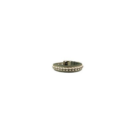 Trendfährte Hundehalsband BioThane® [XS: 28-35 cm x 24 mm - Oliv/Beige]