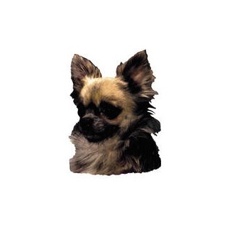 Großer Aufkleber, 2er Packung