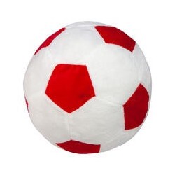 Procyon Indoor-Fussball