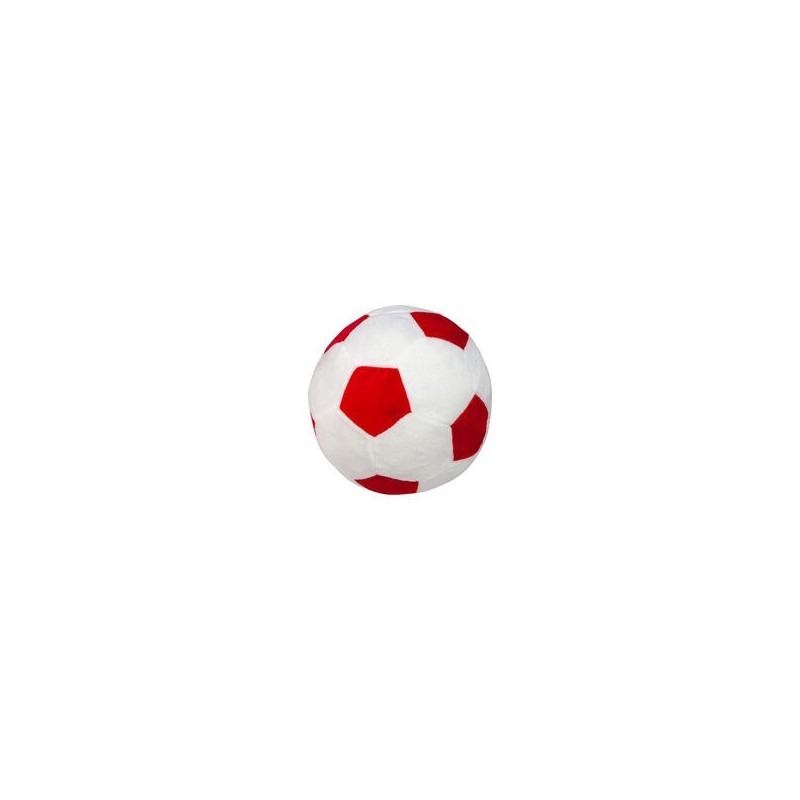 Procyon Indoor-Fussball