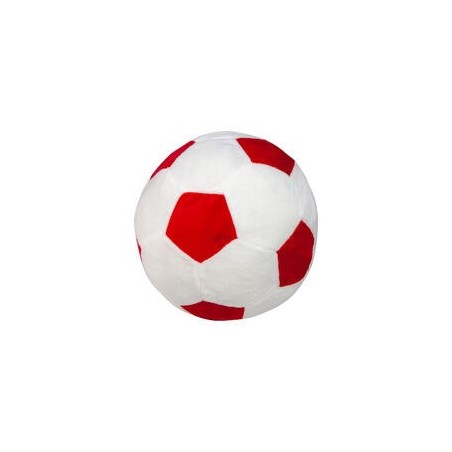 Procyon Indoor-Fussball