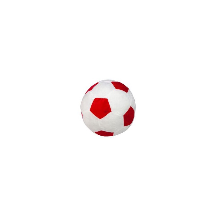 Procyon Indoor-Fussball