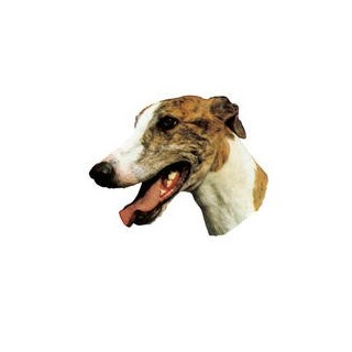 Großer Aufkleber, 2er Packung