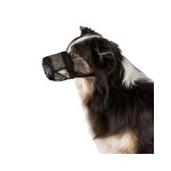 Trixie - Giftköder Schutznetz für Hunde [Größe S-M]