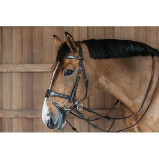 Zaumzeug Reiten Dy’on Working Motion