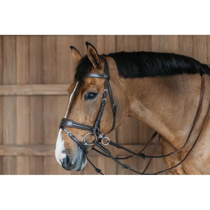 Zaumzeug Reiten Dy’on Working Motion