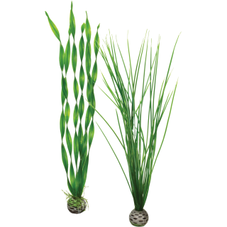 biOrb Pflanzen Set L grün - 1 Set