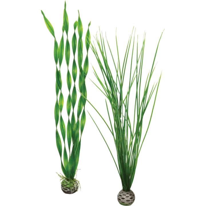 biOrb Pflanzen Set L grün - 1 Set