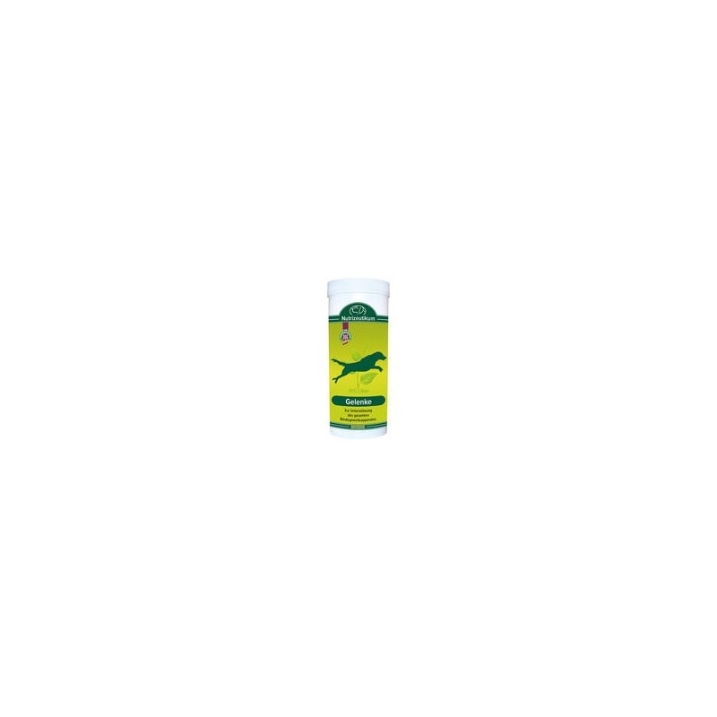 Nutrizeutikum Gelenke [125g]