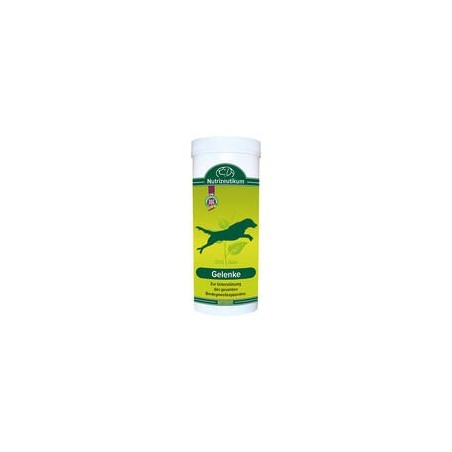 Nutrizeutikum Gelenke [125g]