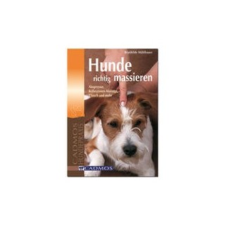 Hunde richtig massieren