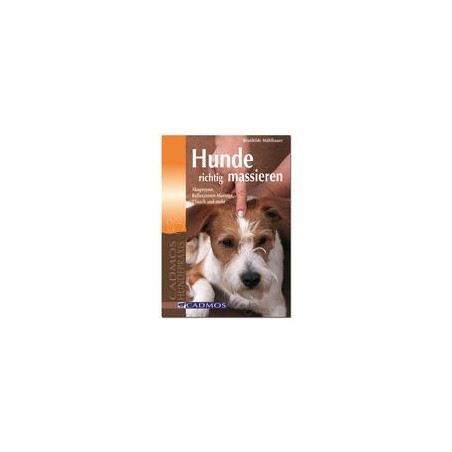 Hunde richtig massieren