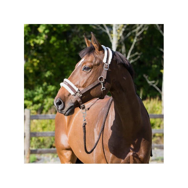 Halfter Horze Howard