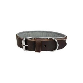 Schecker - Schecker Hunde-Halsband "Moorfeuer", Farbe: braun-himmel [40 cm lang x 20 mm breit]