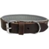 Schecker - Schecker Hunde-Halsband "Moorfeuer", Farbe: braun-himmel [40 cm lang x 20 mm breit]