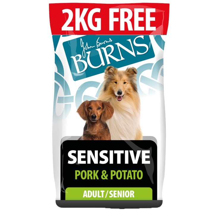 2 kg gratis! 14 kg Burns Trockenfutter - Adult Sensitive - Schweinefleisch & Kartoffel
