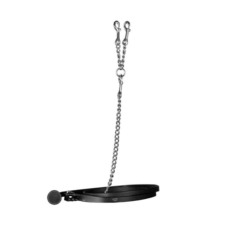 Set aus Halfter und Longiergurt für Pferde QHP Emerald