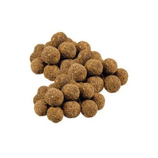 Schecker - Schecker Pferdetrüffel mit Kokos und Cranberry [3 x 150g]