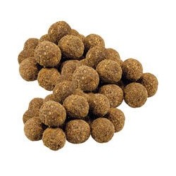 Schecker - Schecker Pferdetrüffel mit Kokos und Cranberry [3 x 150g]