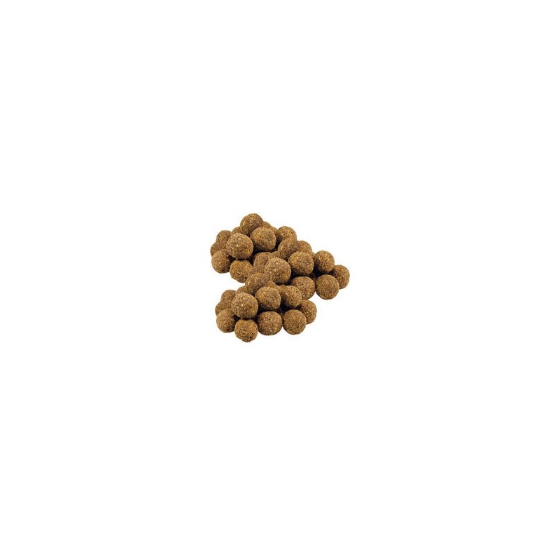Schecker - Schecker Pferdetrüffel mit Kokos und Cranberry [3 x 150g]