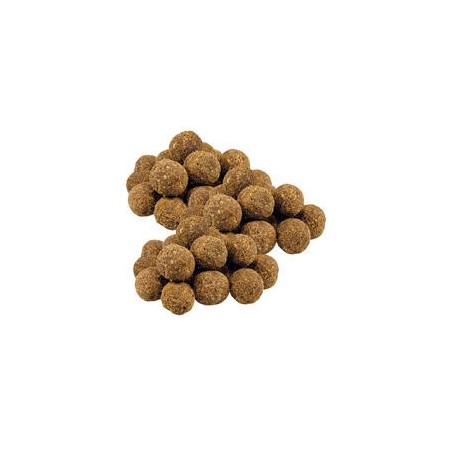 Schecker - Schecker Pferdetrüffel mit Kokos und Cranberry [3 x 150g]