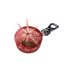 Trixie - LED-Flasher [rot - 2,5 cm]