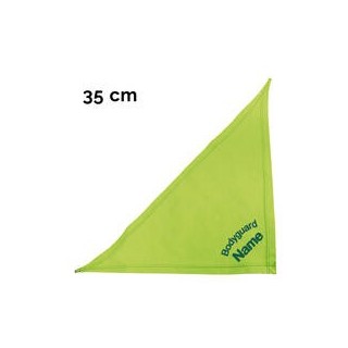 Schecker - Besticktes Halstuch, Bodyguard + Name [35cm - Kiwi]