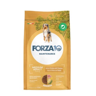 Forza 10 Medium Maintenance Huhn & Kartoffel - 12 kg