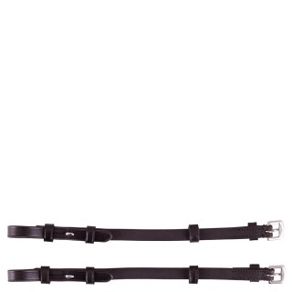 Paar Flanschpfosten Premiere