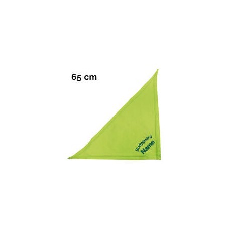 Schecker - Besticktes Halstuch, Bodyguard + Name [65cm - Kiwi]