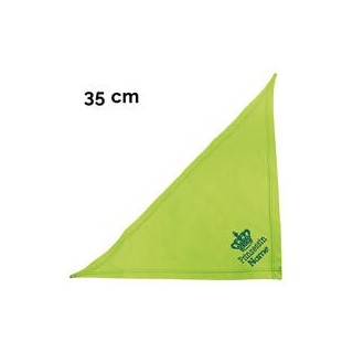 Schecker - Besticktes Halstuch, Prinzessin + Krone + Name [35cm - Kiwi]